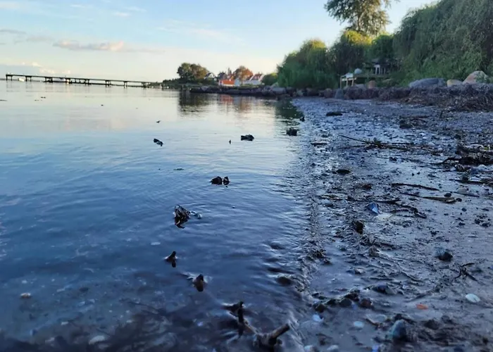 度假居 Luxury Seaside Retreat In Nr Lyngby-by Traum 福堡